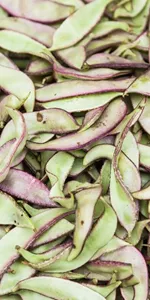Hyacinth beans (Bai Bian Dou)