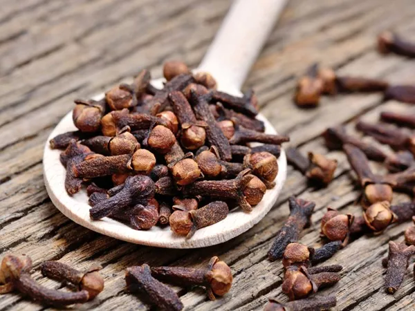 Ding Xiang (Cloves) in Chinese Medicine