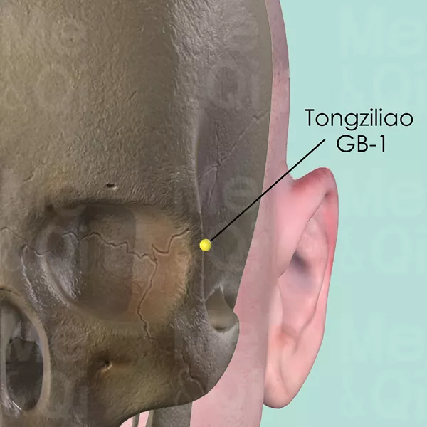 Tongziliao GB-1 - Bones view - Acupuncture point on Gall Bladder Channel