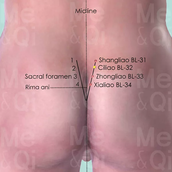 Ciliao BL-32 - Skin view - Acupuncture point on Bladder Channel