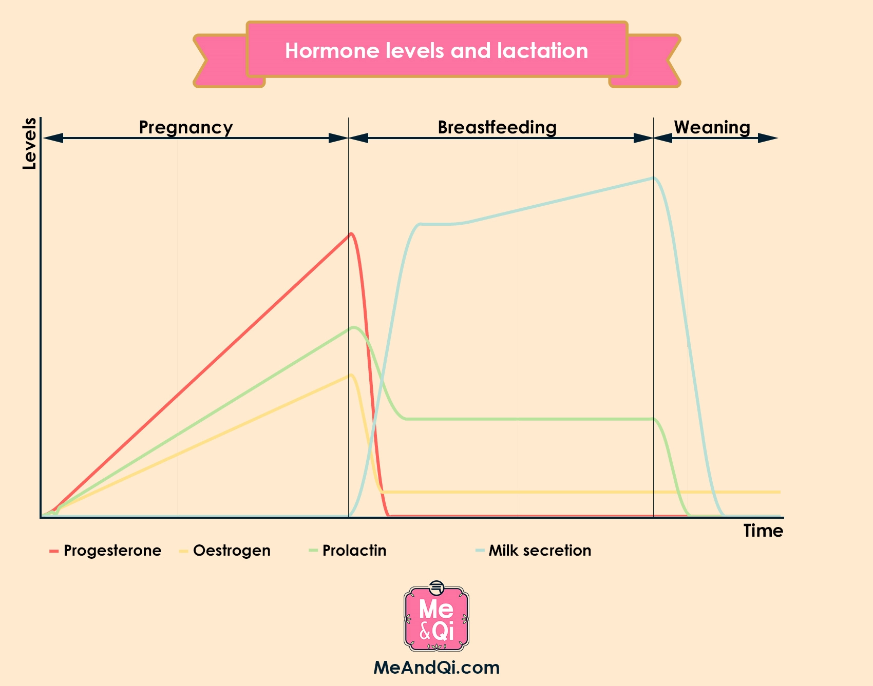 Progesterone, estrogen, prolactin and breastfeeding