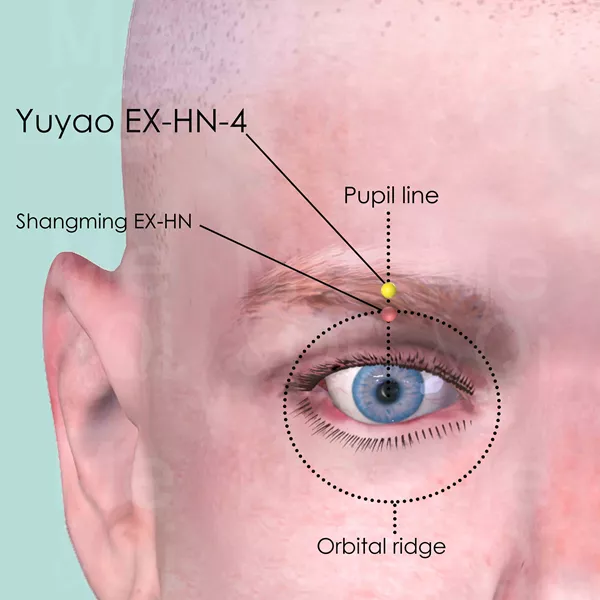 Yuyao EX-HN-4 - Skin view - Acupuncture point on Extra Points: Head and Neck (EX-HN)