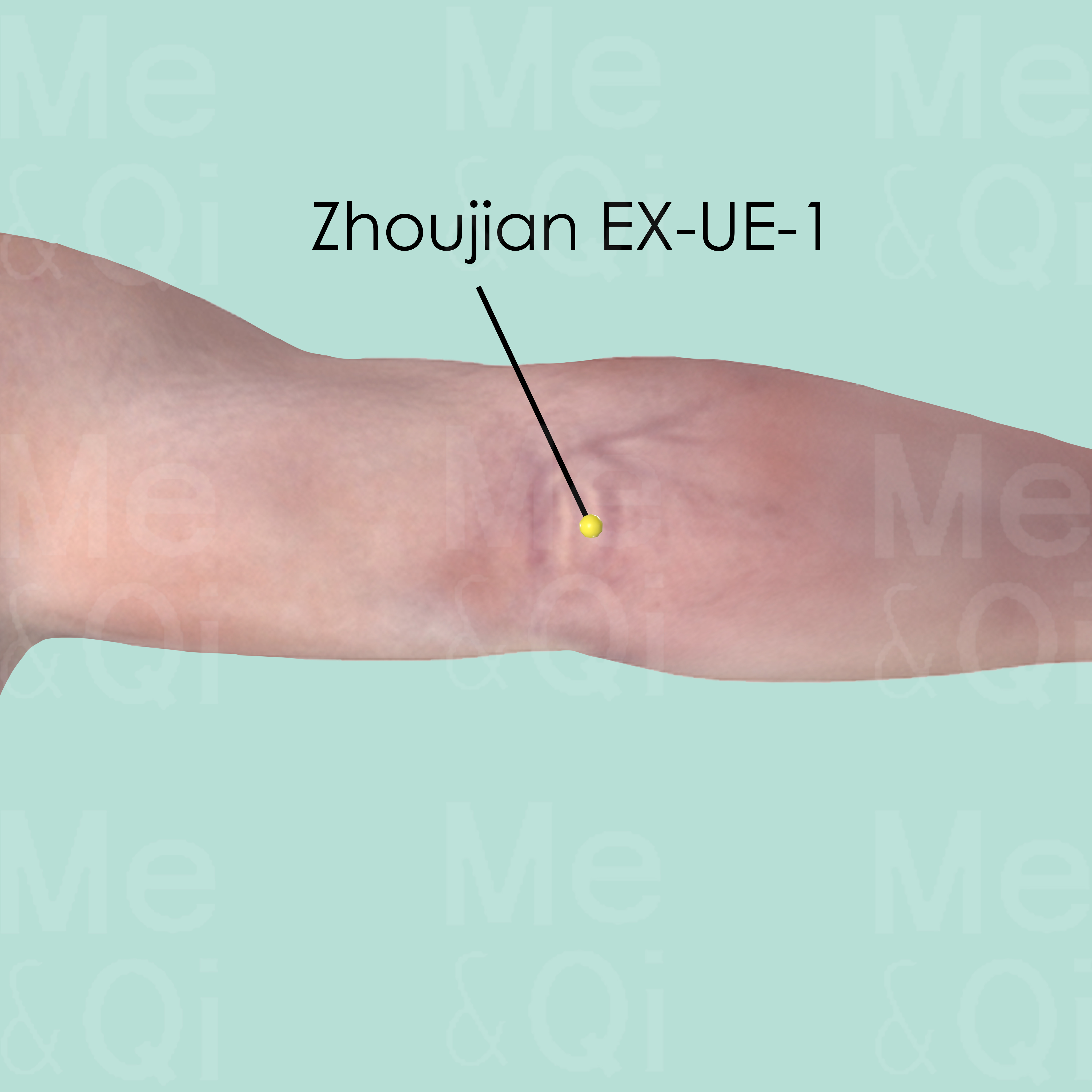 Zhoujian EX-UE-1