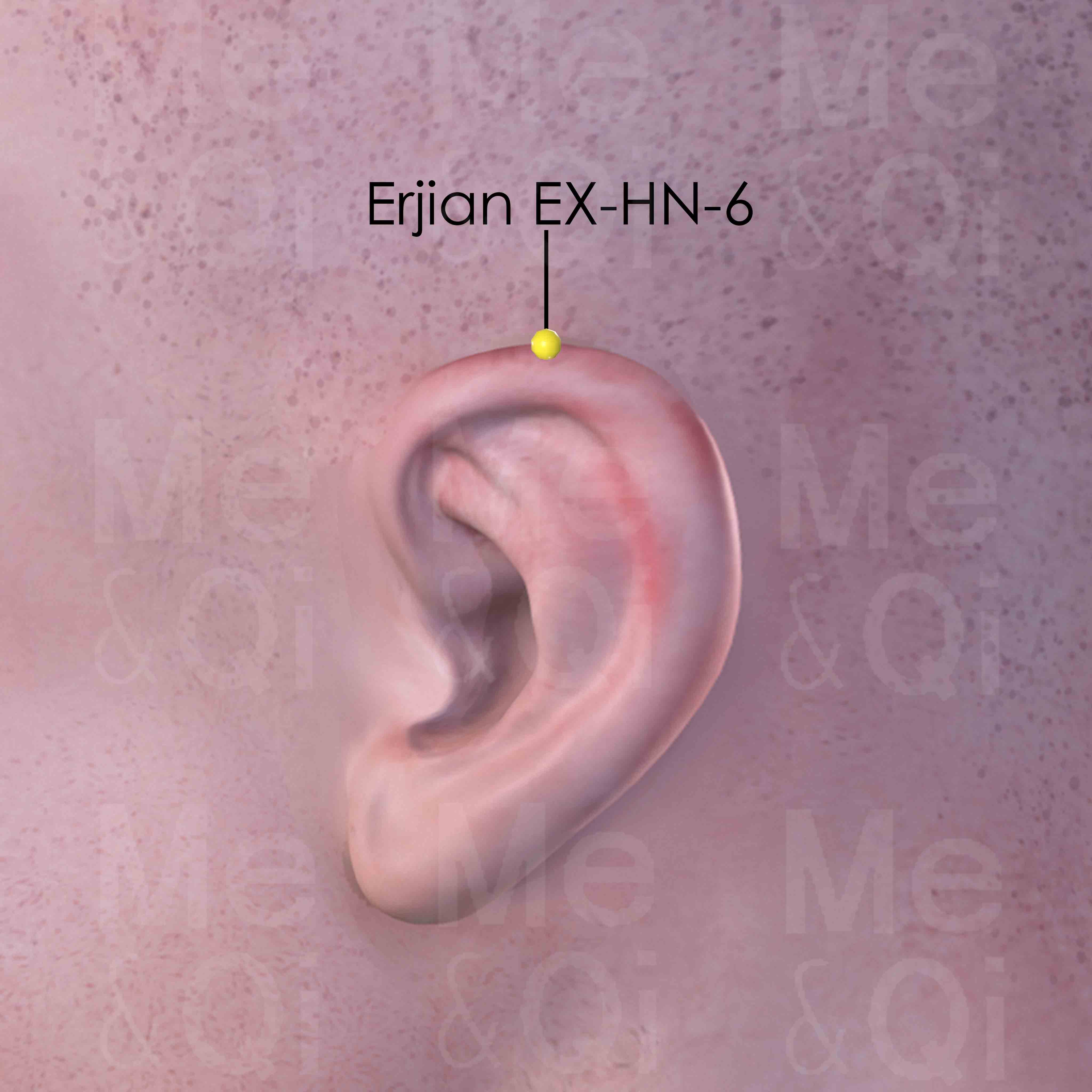 Erjian EX-HN-6