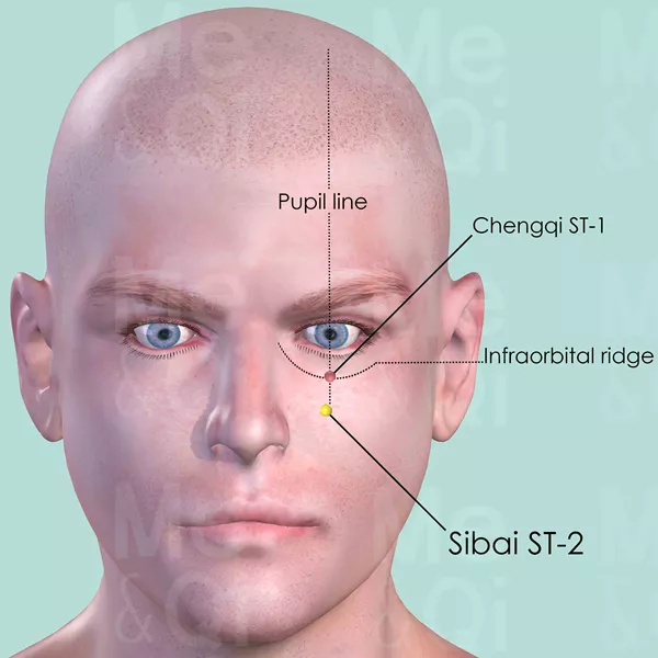 Sibai ST-2 - Skin view - Acupuncture point on Stomach Channel