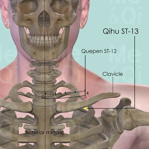 Qihu ST-13 - Bones view - Acupuncture point on Stomach Channel