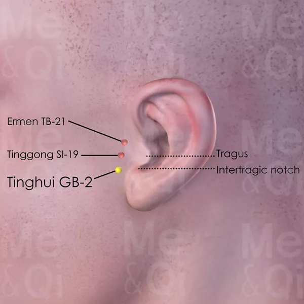 Tinghui GB-2 - Skin view - Acupuncture point on Gall Bladder Channel