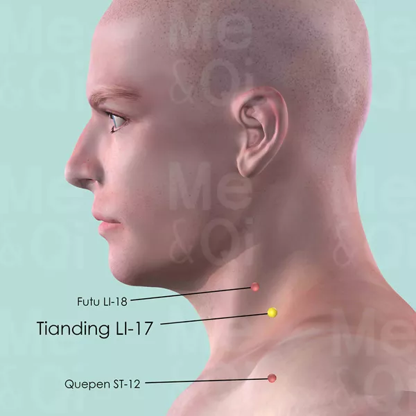 Tianding LI-17 - Skin view - Acupuncture point on Large Intestine Channel