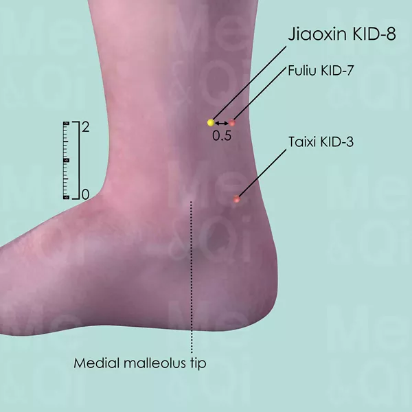 Jiaoxin KID-8 - Skin view - Acupuncture point on Kidney Channel