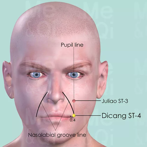 Dicang ST-4 - Skin view - Acupuncture point on Stomach Channel
