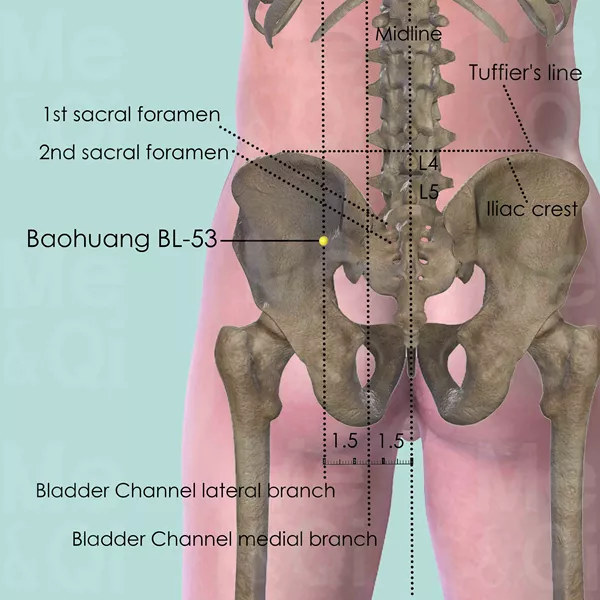 Baohuang BL-53 - Bones view - Acupuncture point on Bladder Channel