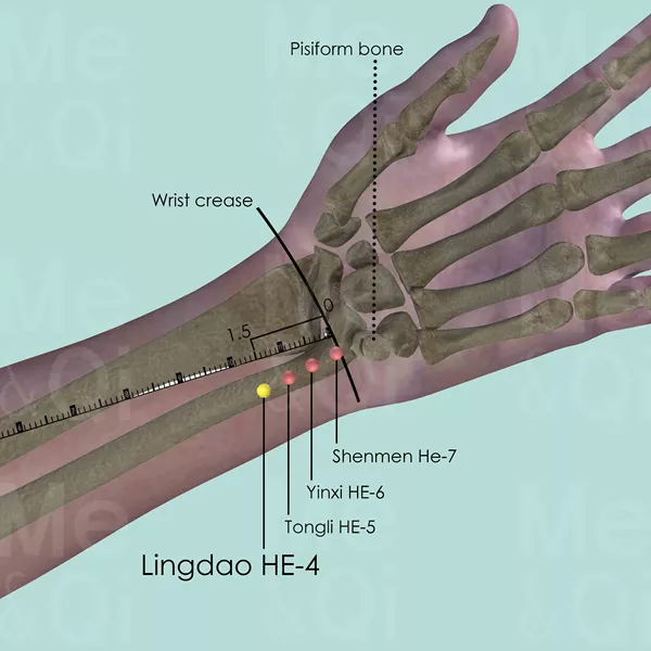 Lingdao HE-4 - Bones view - Acupuncture point on Heart Channel