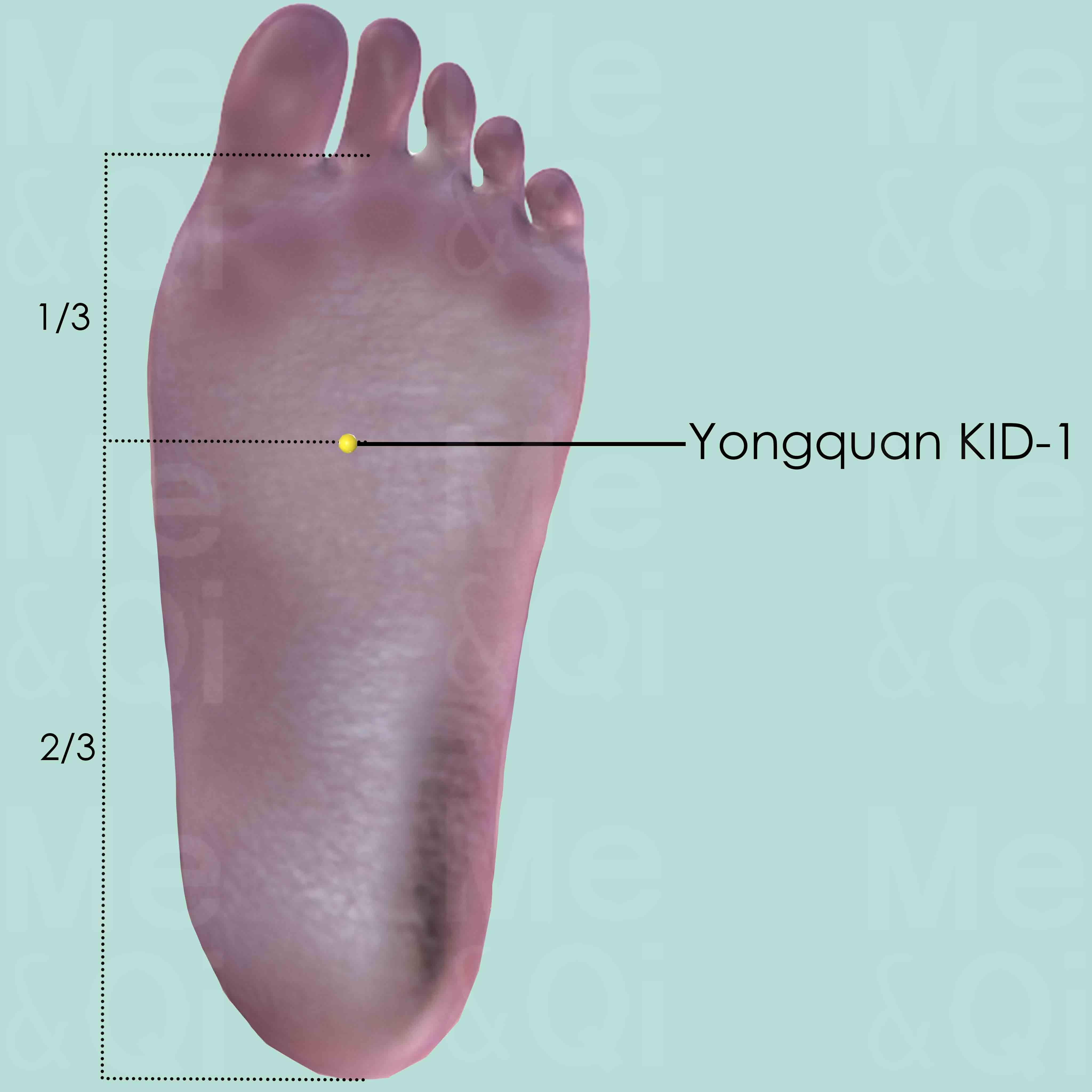 Yongquan KID-1