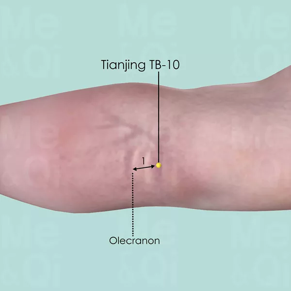 Tianjing TB-10 - Skin view - Acupuncture point on Triple Burner Channel