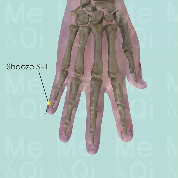 Shaoze SI-1 - Bones view - Acupuncture point on Small Intestine Channel