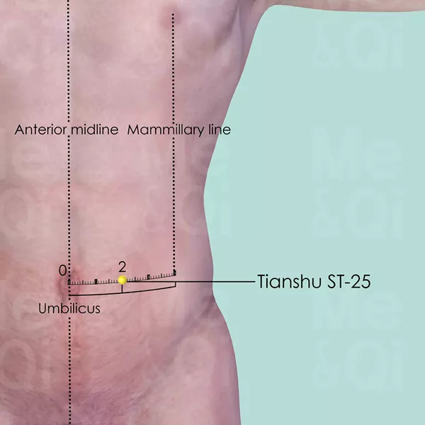 Tianshu ST-25 - Skin view - Acupuncture point on Stomach Channel