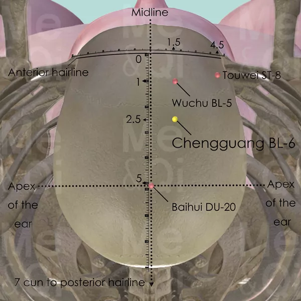 Chengguang BL-6 - Bones view - Acupuncture point on Bladder Channel