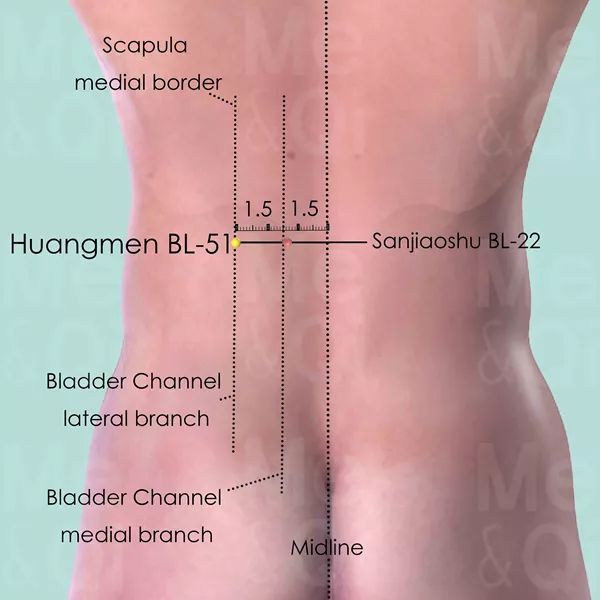Huangmen BL-51 - Skin view - Acupuncture point on Bladder Channel