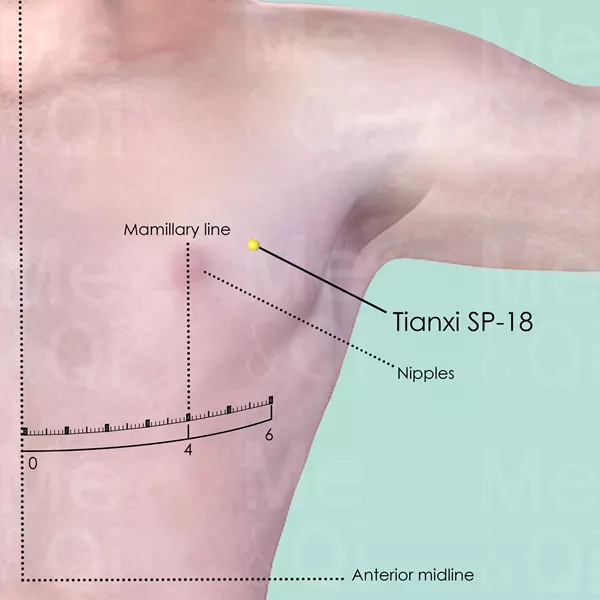 Tianxi SP-18 - Skin view - Acupuncture point on Spleen Channel