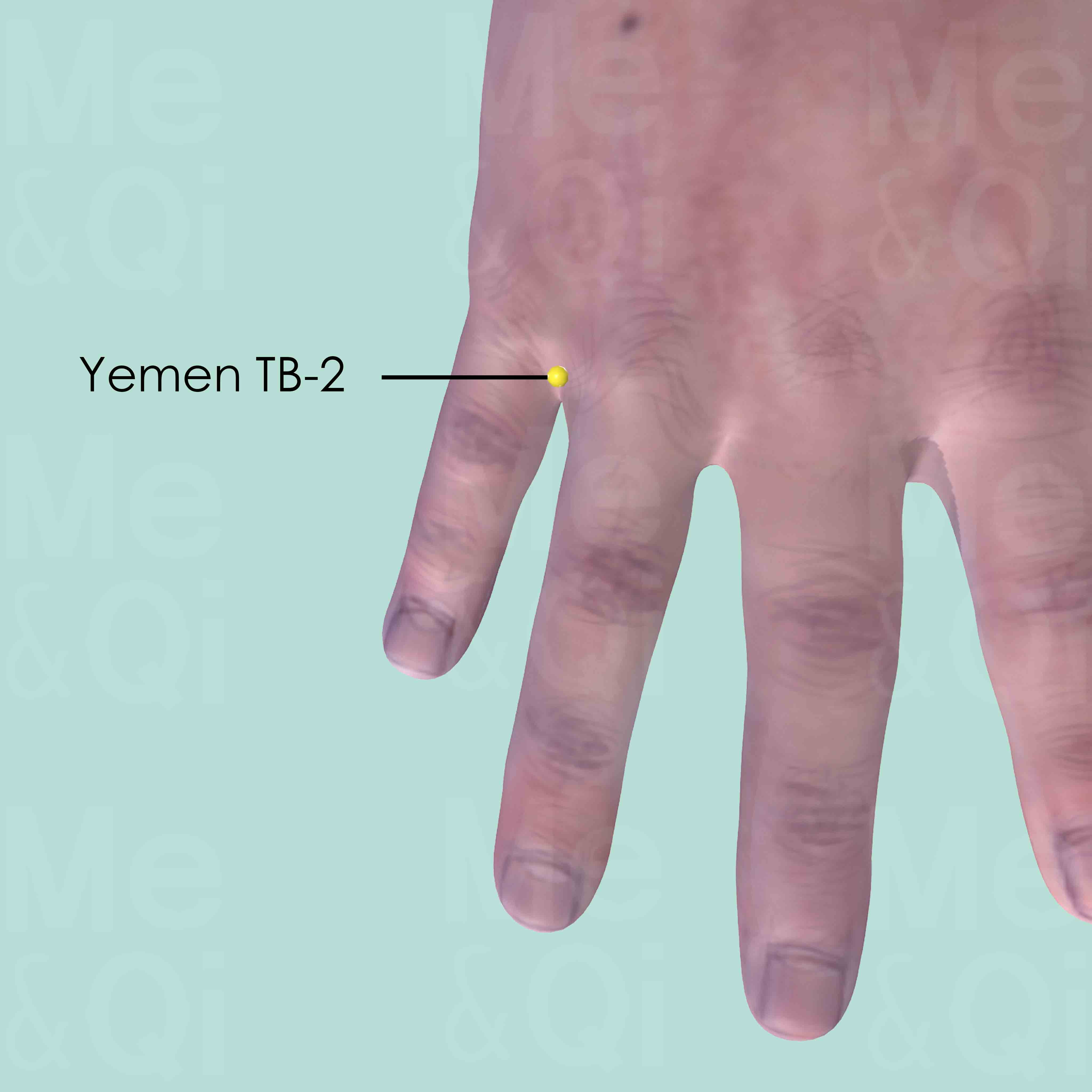 Yemen TB-2