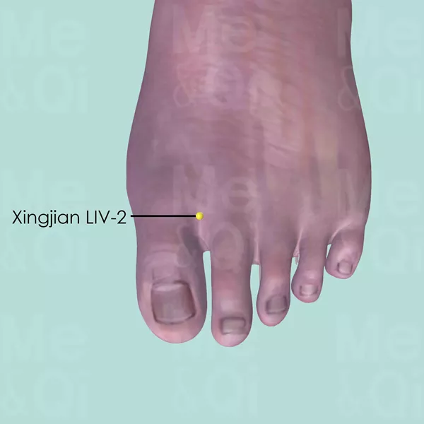 Xingjian LIV-2 - Skin view - Acupuncture point on Liver Channel
