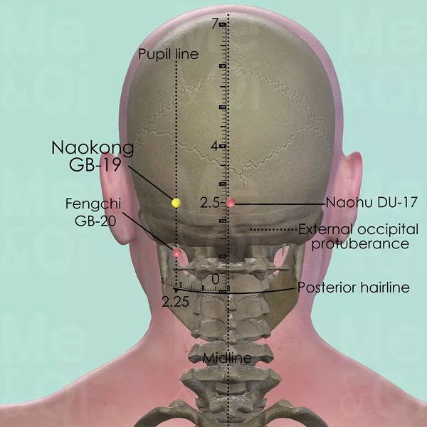 Naokong GB-19 - Bones view - Acupuncture point on Gall Bladder Channel