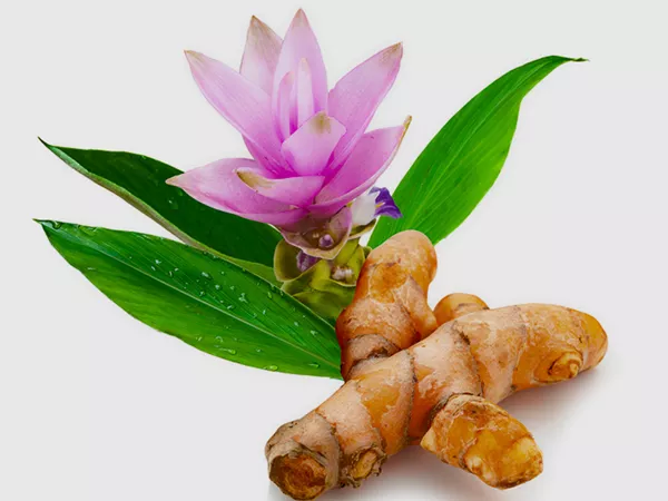 What Turmeric looks like as a TCM ingredient