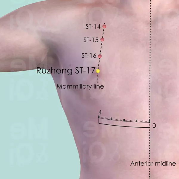 Ruzhong ST-17 - Skin view - Acupuncture point on Stomach Channel