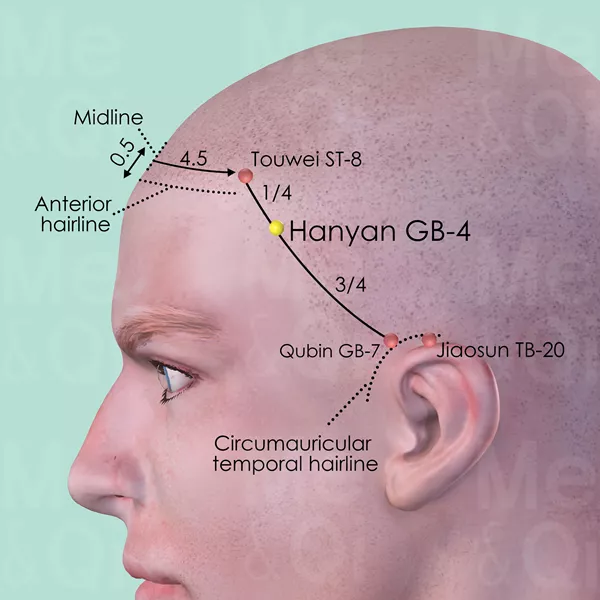 Hanyan GB-4 - Skin view - Acupuncture point on Gall Bladder Channel