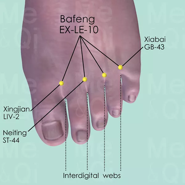 Bafeng EX-LE-10 - Skin view - Acupuncture point on Extra Points: Lower Extremities (EX-LE)