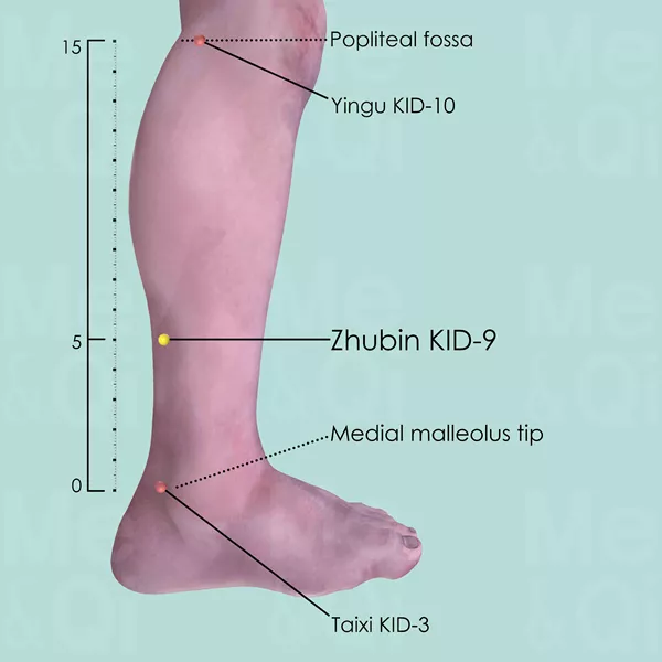 Zhubin KID-9 - Skin view - Acupuncture point on Kidney Channel
