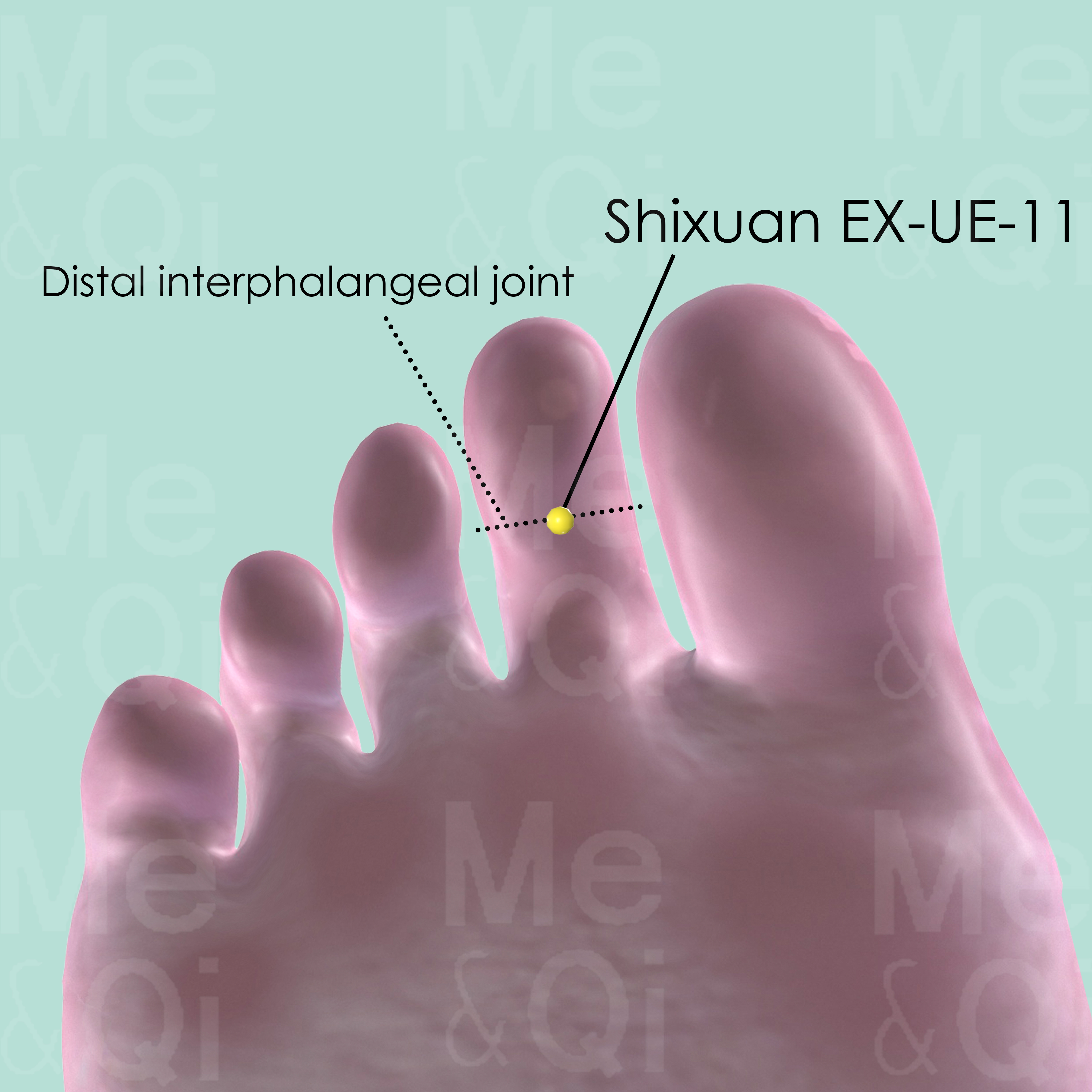 Duyin EX-LE-11