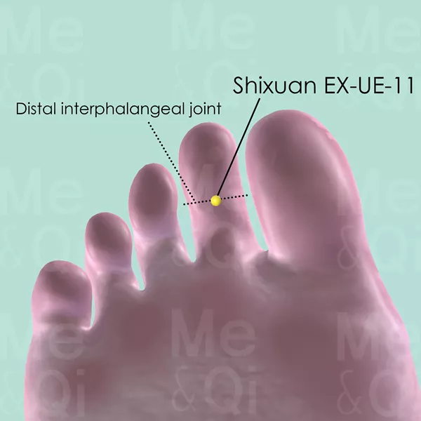 Duyin EX-LE-11 - Skin view - Acupuncture point on Extra Points: Lower Extremities (EX-LE)