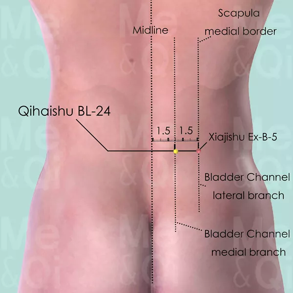 Qihaishu BL-24 - Skin view - Acupuncture point on Bladder Channel