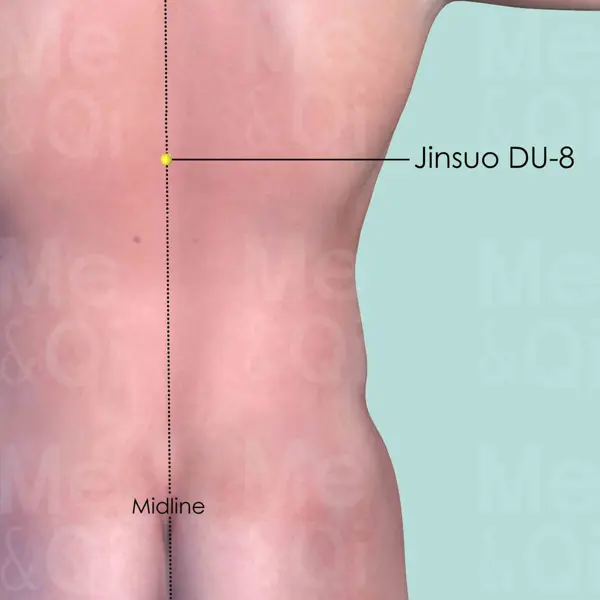 Jinsuo DU-8 location