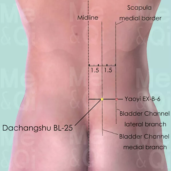 Dachangshu BL-25 - Skin view - Acupuncture point on Bladder Channel