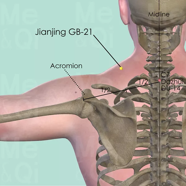 Jianjing GB-21 - Bones view - Acupuncture point on Gall Bladder Channel