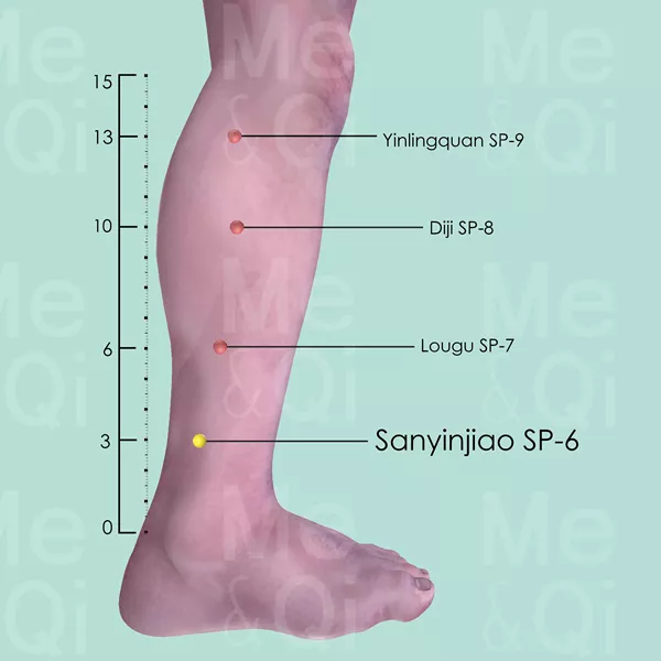 Sanyinjiao SP-6 - Skin view - Acupuncture point on Spleen Channel