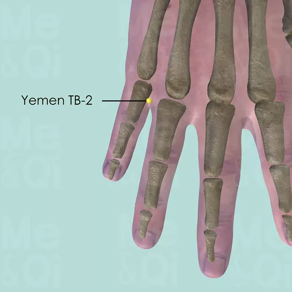 Yemen TB-2 - Bones view - Acupuncture point on Triple Burner Channel