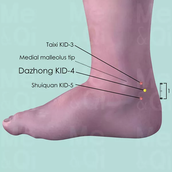 Dazhong KID-4 - Skin view - Acupuncture point on Kidney Channel