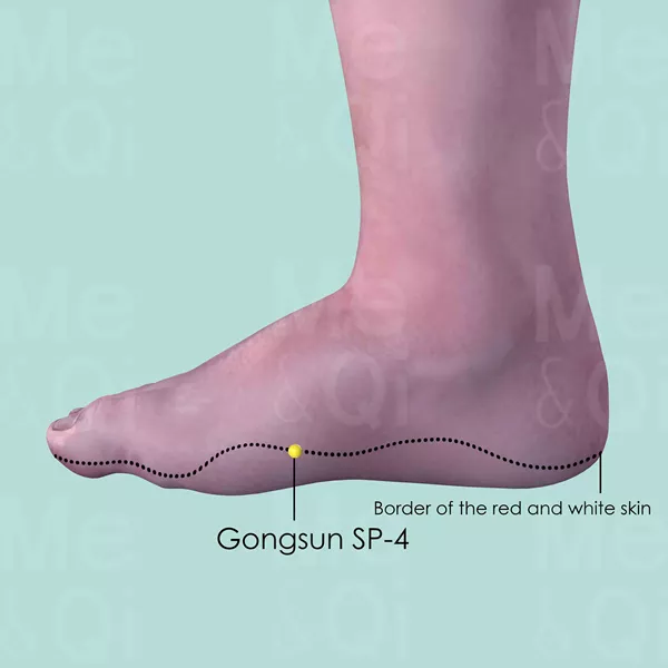 Gongsun SP-4 - Skin view - Acupuncture point on Spleen Channel
