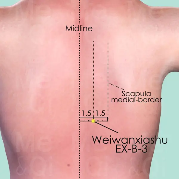 Weiwanxiashu EX-B-3 location