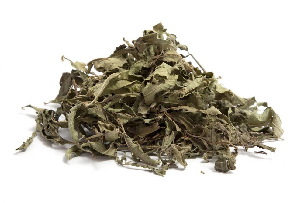 Ma Bian Cao (Verbena leaves) as TCM ingredient