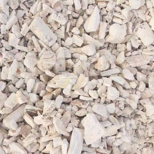 Long Gu (Dragon bones) as TCM ingredient