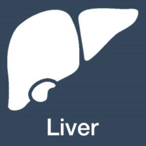 The Liver in Traditional Chinese Medicine