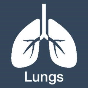 The Lungs in Traditional Chinese Medicine