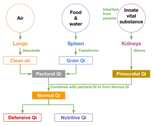 Nomenclature of Qi