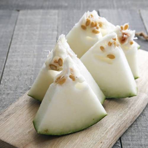 Dong Gua (Wax gourd) plant