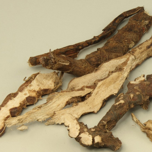 Shi Chang Pu (Sweetflag rhizomes) as TCM ingredient