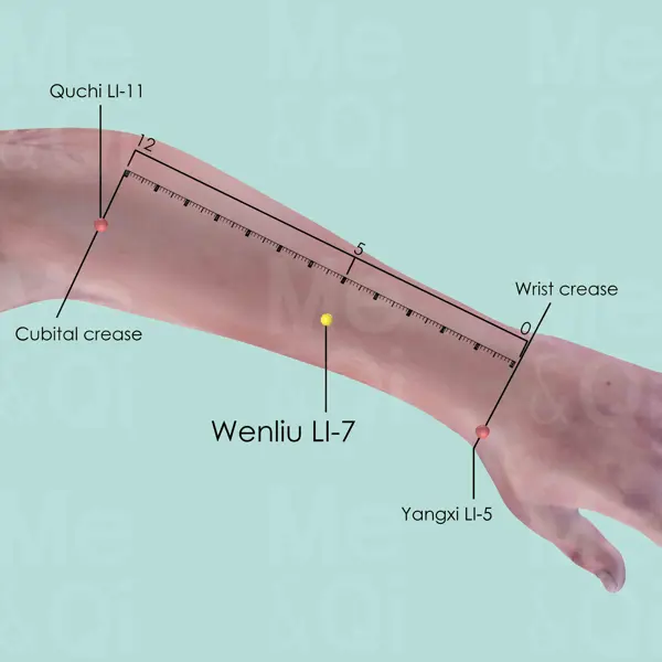 Wenliu LI-7 location